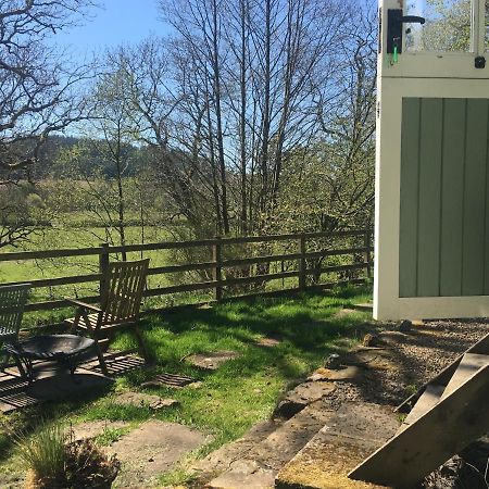 Posh Huts Farmstay Falstone المظهر الخارجي الصورة