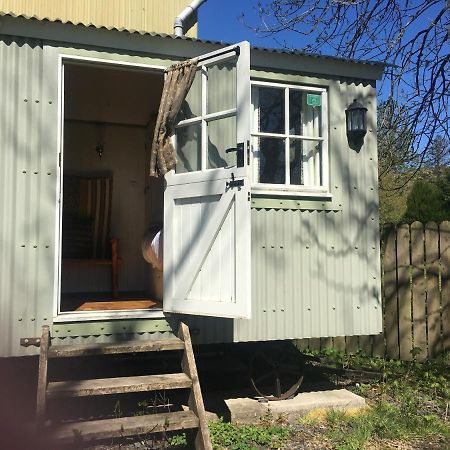 Posh Huts Farmstay Falstone المظهر الخارجي الصورة