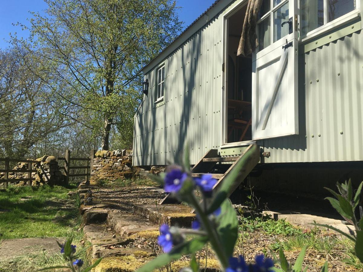 Posh Huts Farmstay Falstone المظهر الخارجي الصورة