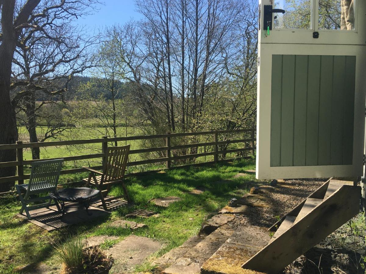 Posh Huts Farmstay Falstone المظهر الخارجي الصورة