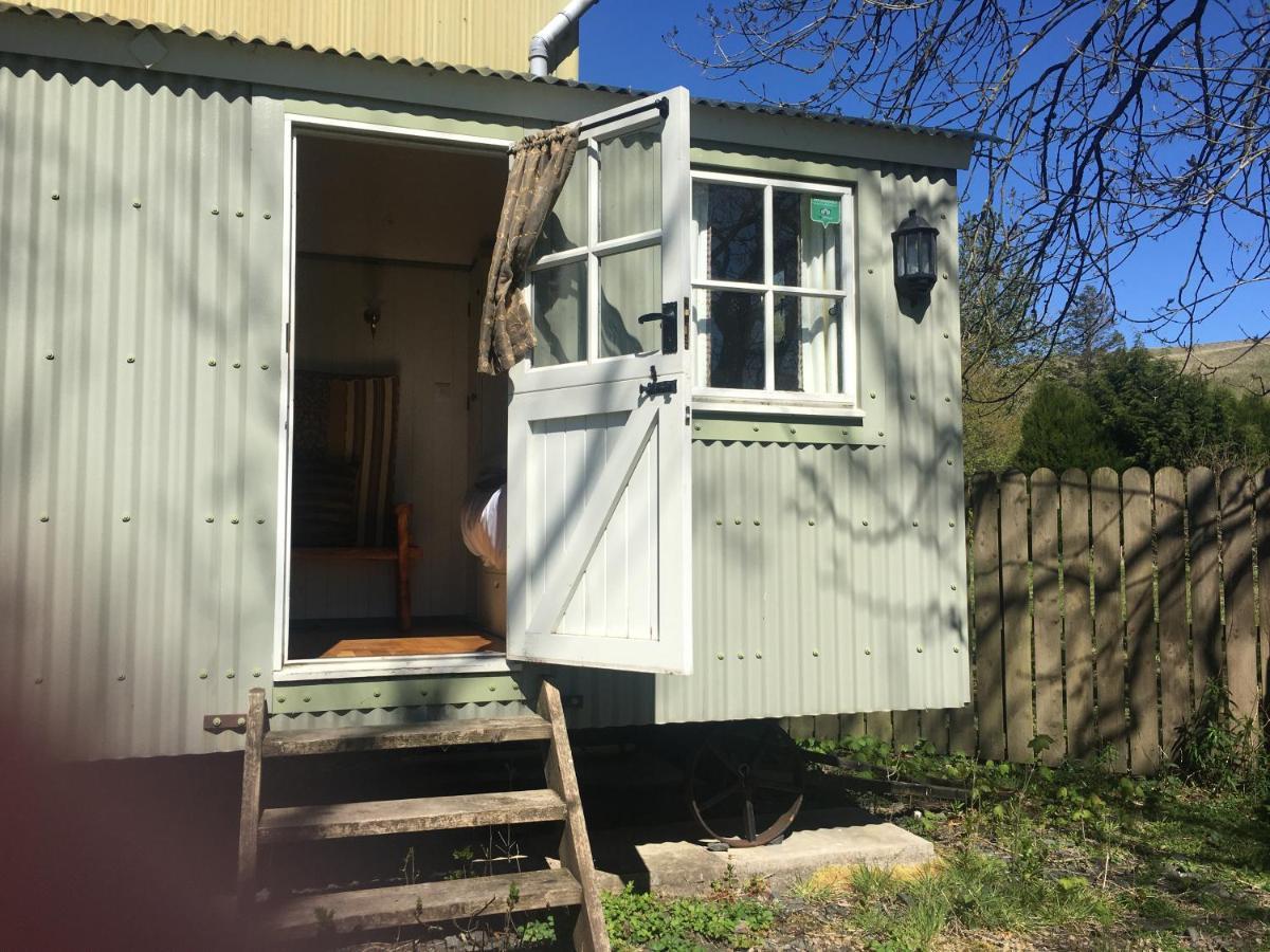 Posh Huts Farmstay Falstone المظهر الخارجي الصورة