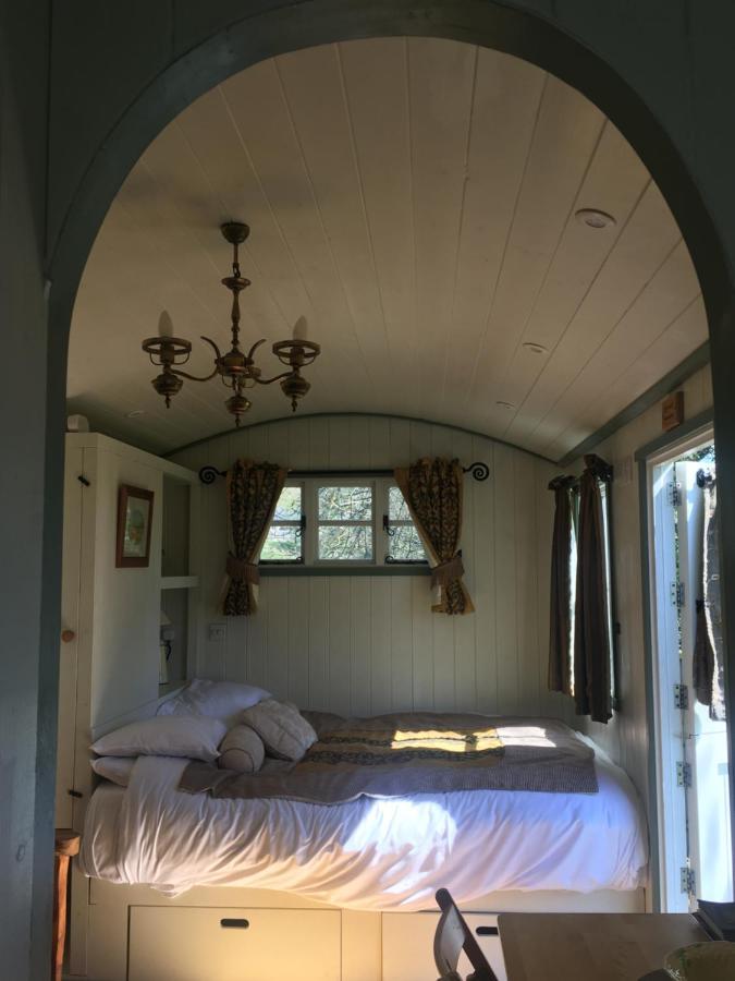 Posh Huts Farmstay Falstone المظهر الخارجي الصورة