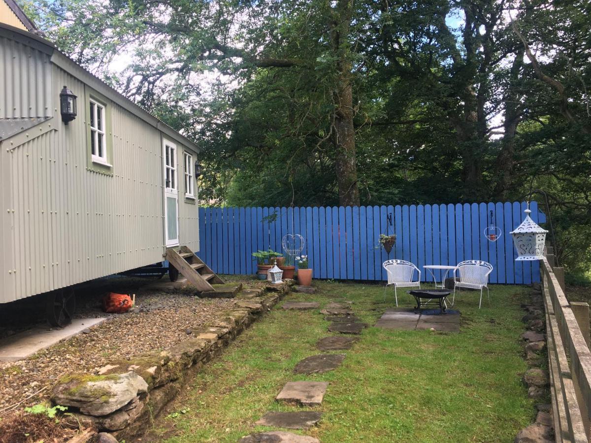 Posh Huts Farmstay Falstone المظهر الخارجي الصورة
