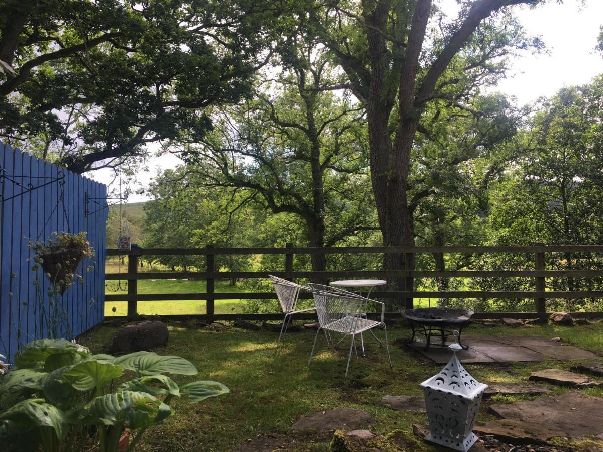 Posh Huts Farmstay Falstone المظهر الخارجي الصورة