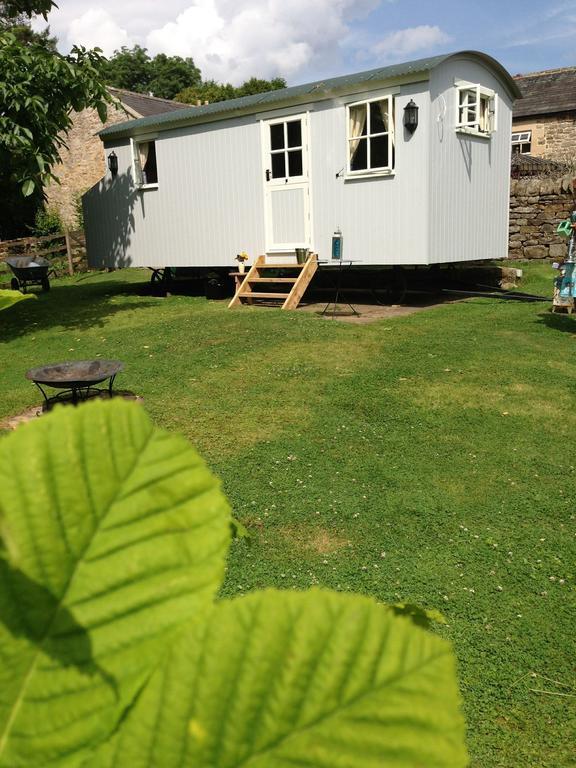 Posh Huts Farmstay Falstone الغرفة الصورة